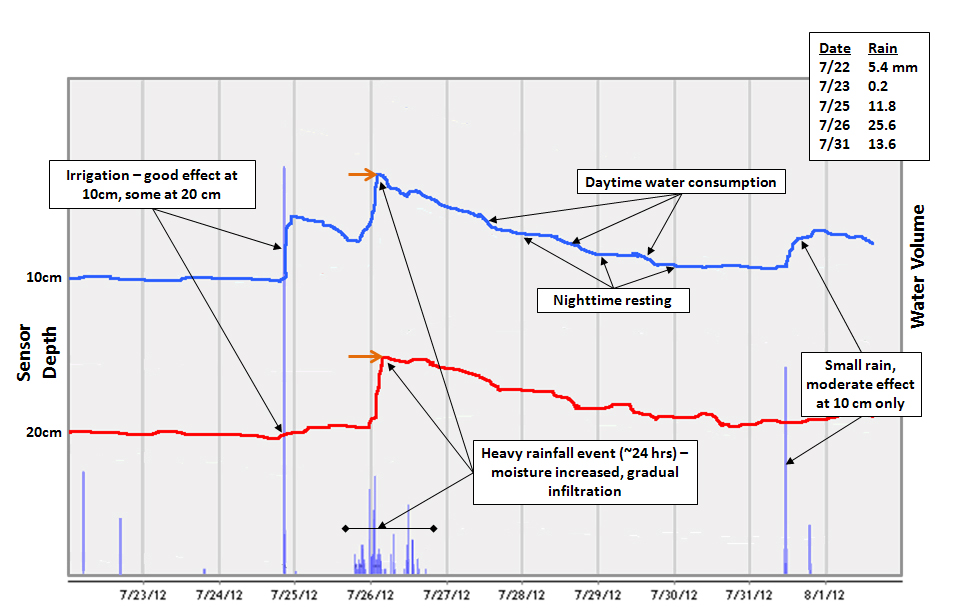 Soil Moisture profile